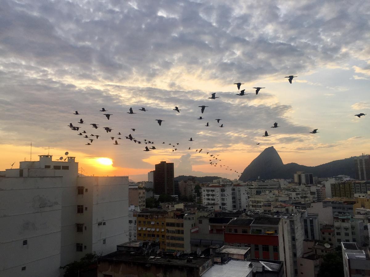 Appartamento Loft Catete Rio de Janeiro Esterno foto